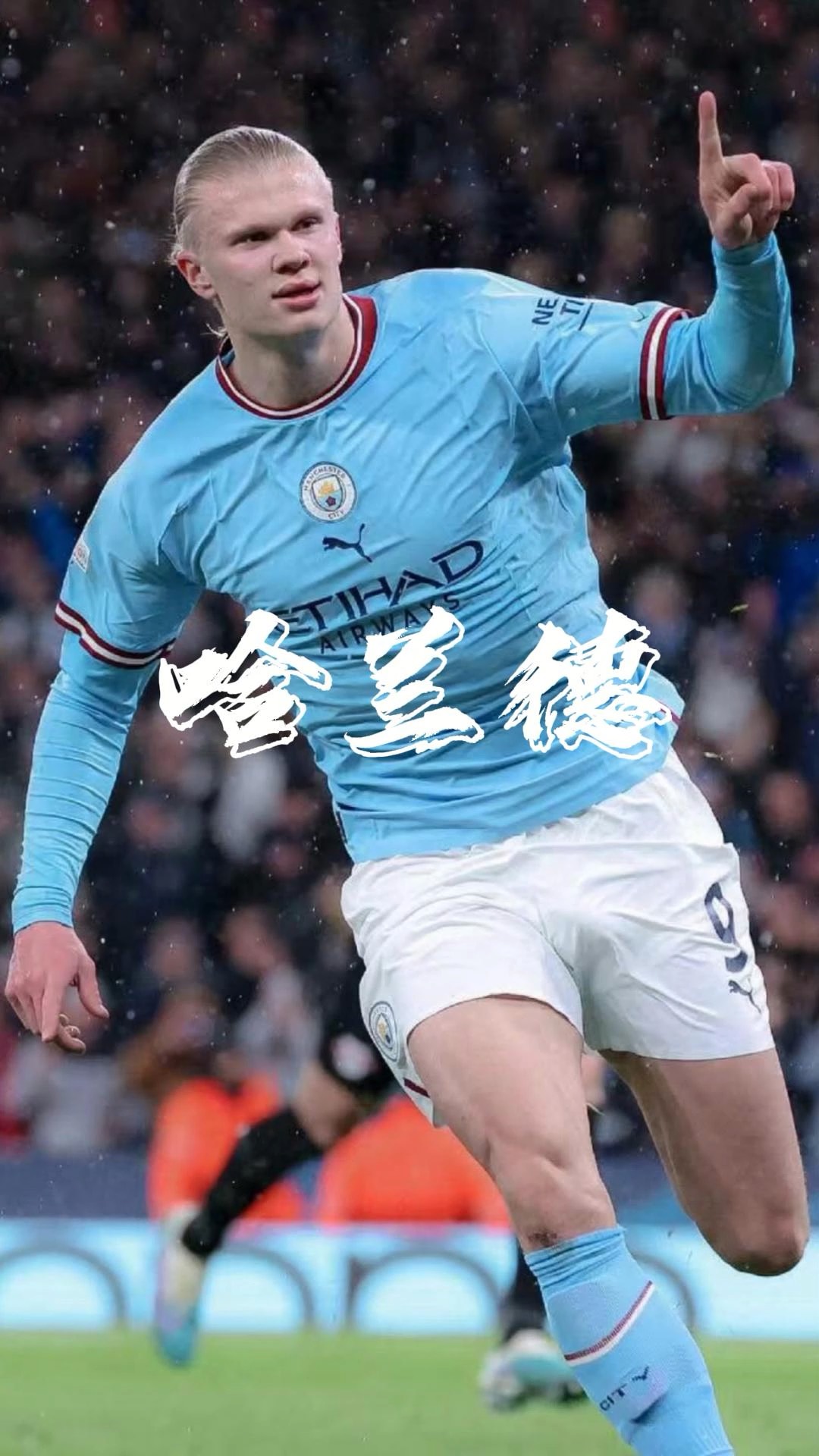 能与换